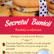 Secretul_Bunicii_flyer1